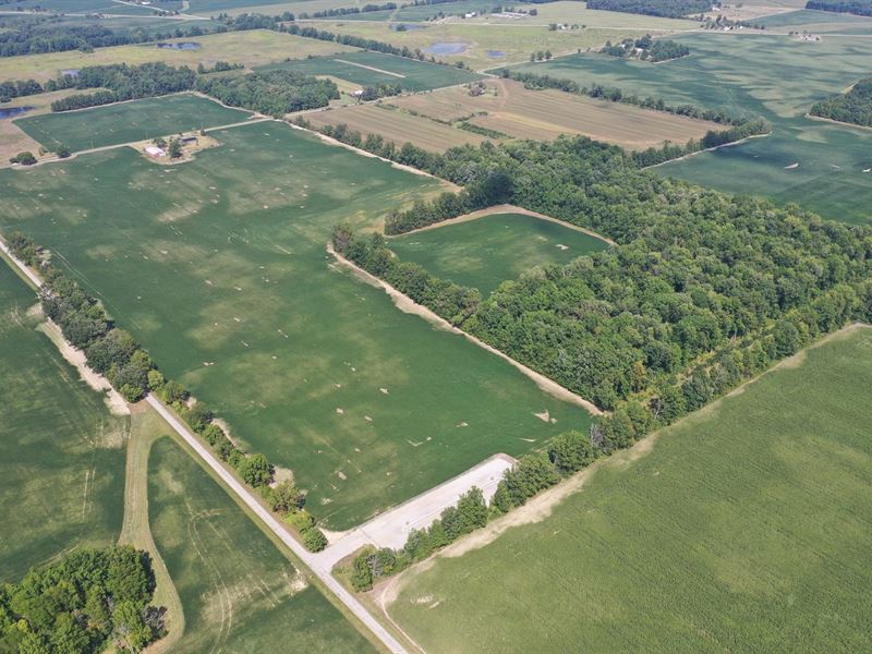 Collins Estate Auction, 240 Acres : Forest : Wyandot County : Ohio