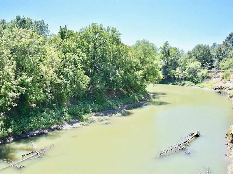 Hunting Land Texas Real Estate : Talco : Titus County : Texas