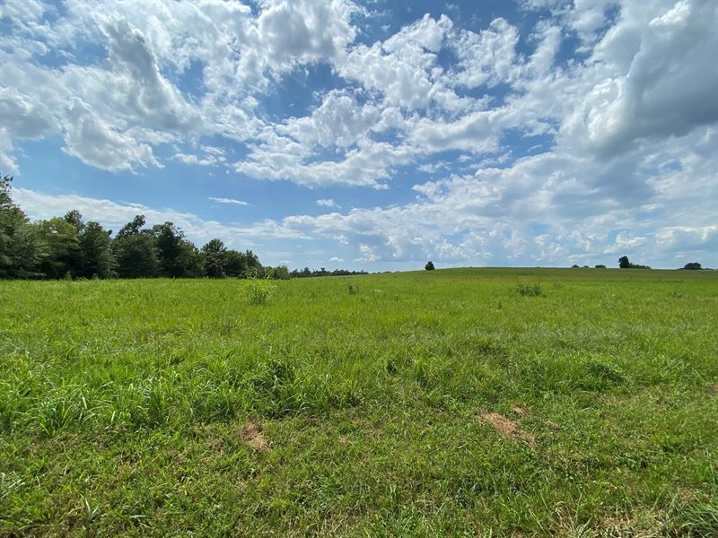 Land Auction, Crop, Pasture : Bowling Green : Warren County : Kentucky