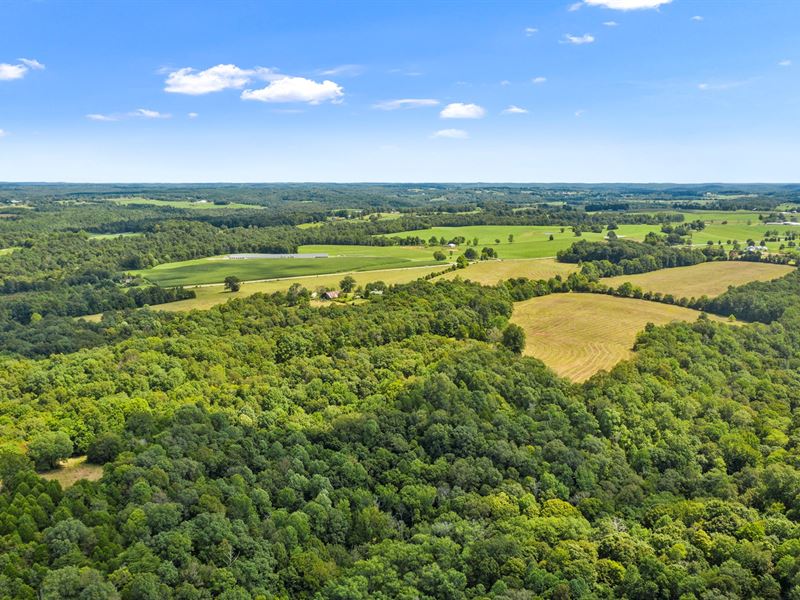 310 Acres, Timber, Hunting : Brownsville : Edmonson County : Kentucky