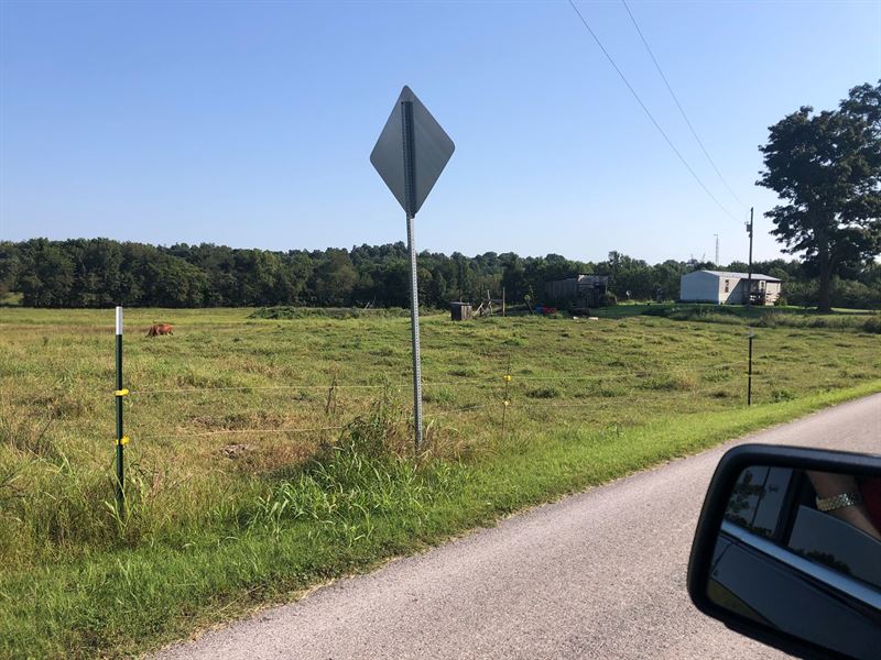 37.7 Acre Warren County Farm 7 : Smiths Grove : Warren County : Kentucky