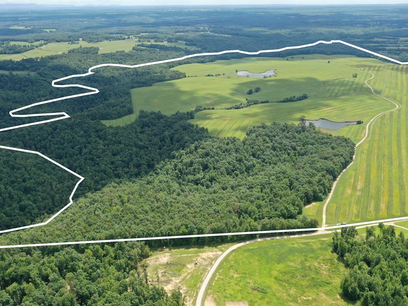 5 Tracts / Creek / Ponds : Clarkrange : Fentress County : Tennessee