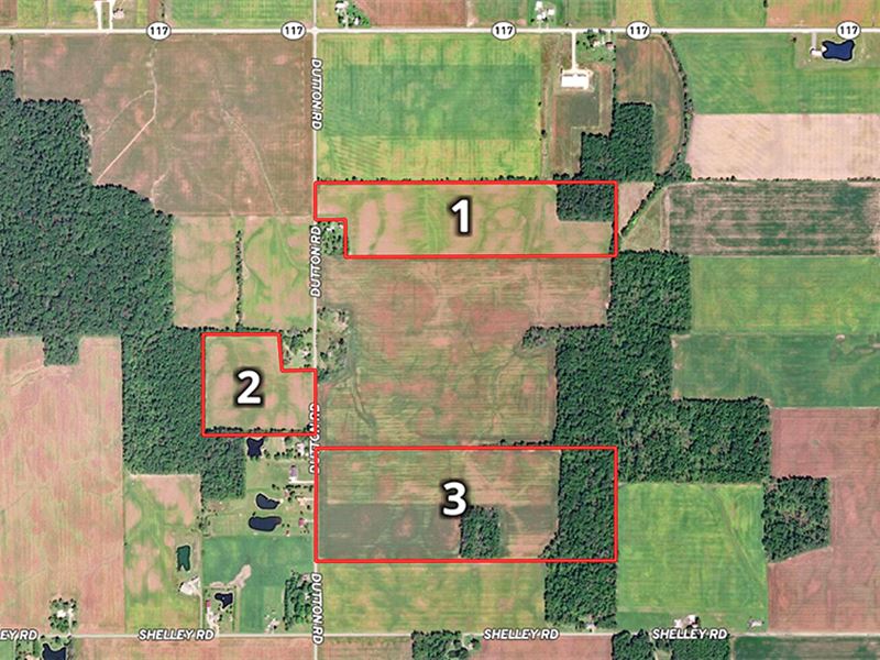 Grain Farm Or Lifestyle Farms : Rockford : Mercer County : Ohio