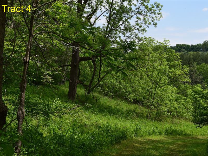 Recreational Land in Floyd VA : Floyd : Floyd County : Virginia