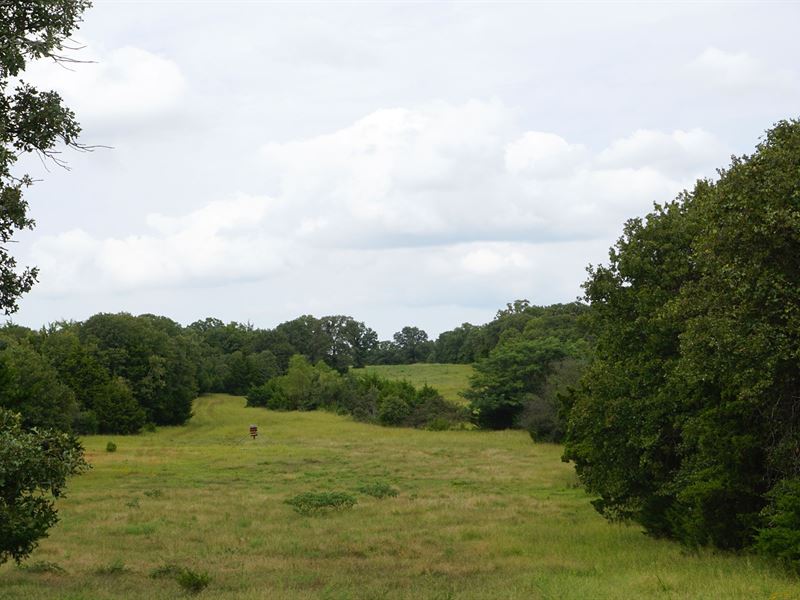 No Reserve Auction, 80 Acres : Wellston : Lincoln County : Oklahoma