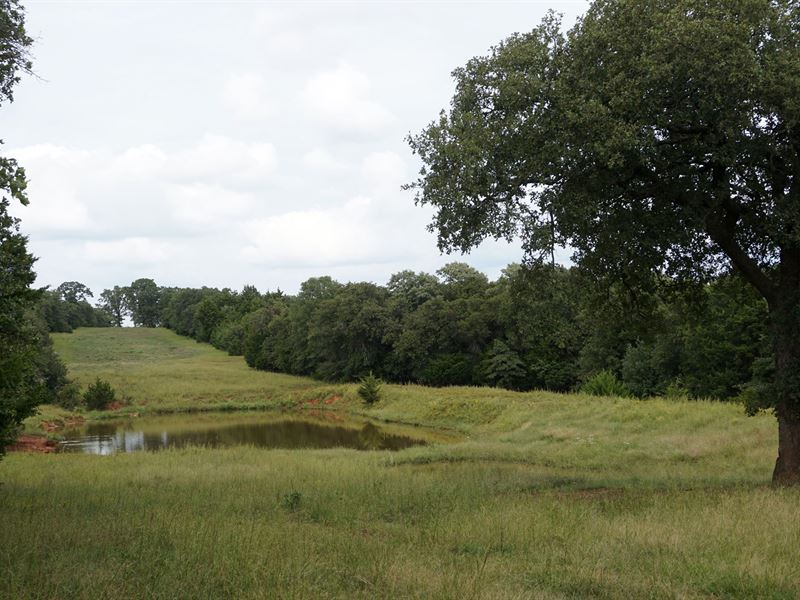 No Reserve Auction, Oklahoma : Wellston : Lincoln County : Oklahoma