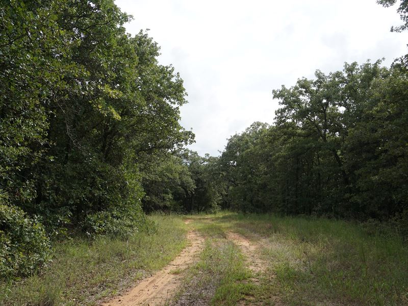 No Reserve Auction, OK High Fence : Wellston : Lincoln County : Oklahoma