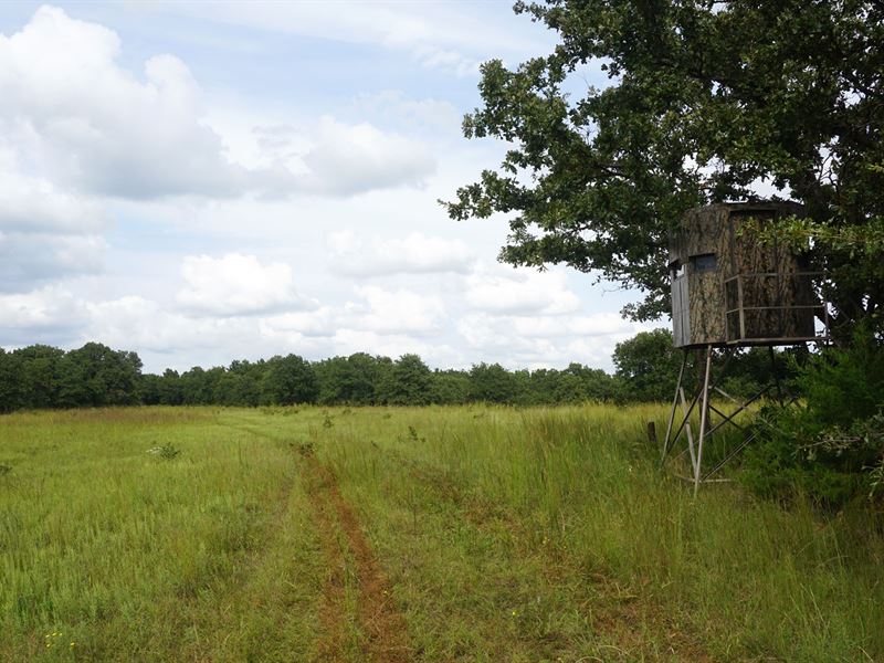 No Reserve Auction, Hunting Land : Wellston : Lincoln County : Oklahoma
