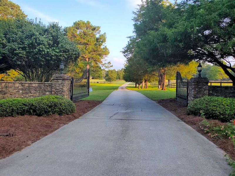 Atlanta Gentleman's Farm Auction : Griffen : Spalding County : Georgia