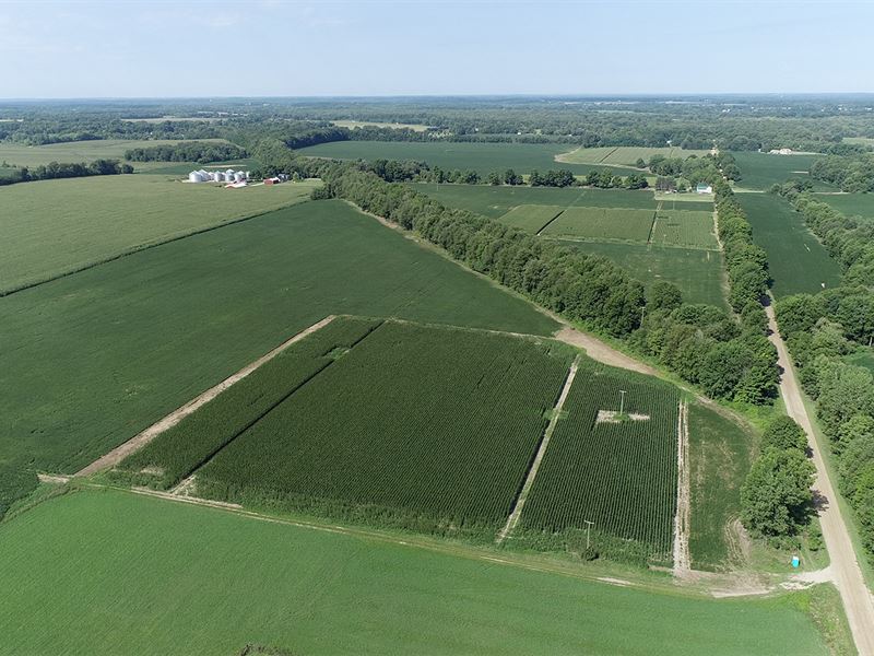 Virtual Land Auction in Michigan : Sherwood : Branch County : Michigan