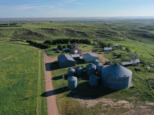 South Divide Grassland Auction : Enders : Chase County : Nebraska