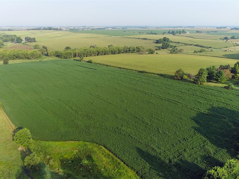 Virtual Illinois Land Auction : Xenia : Ogle County : Illinois