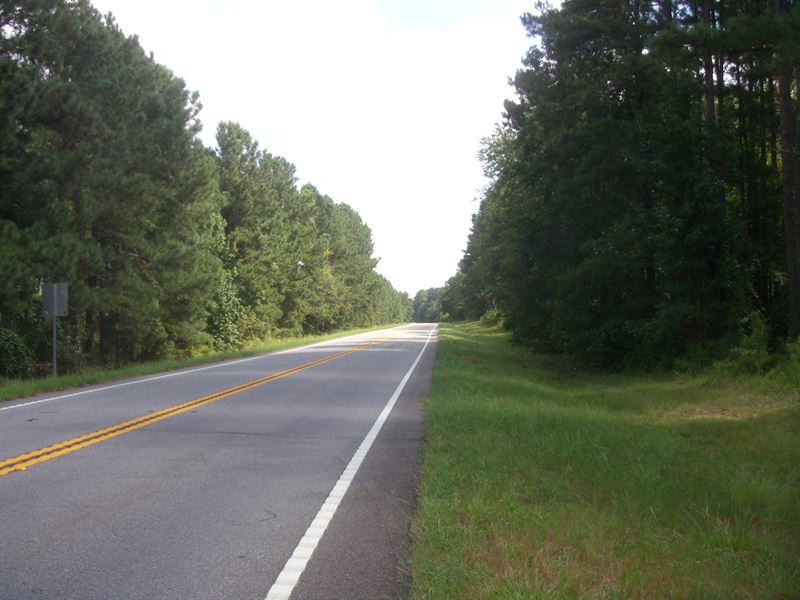 Significant Stand of Timber : Bartow : Johnson County : Georgia