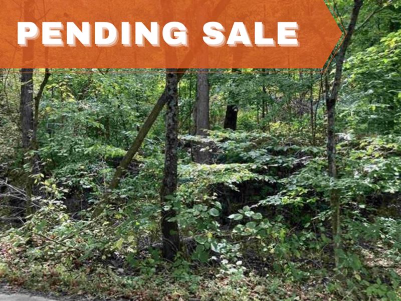 10 Acres, Monroe County : Bloomington : Monroe County : Indiana