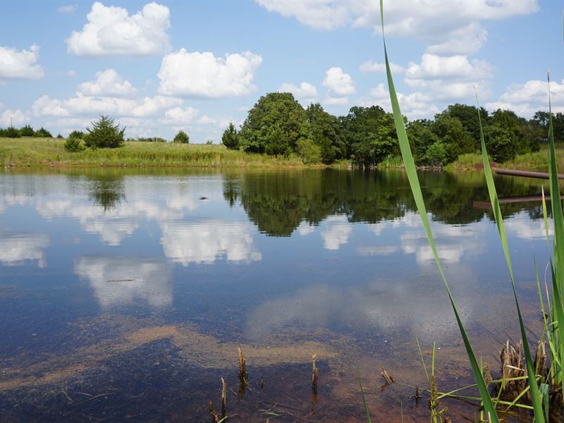 No Reserve Auction 80 Acres : Chandler : Lincoln County : Oklahoma