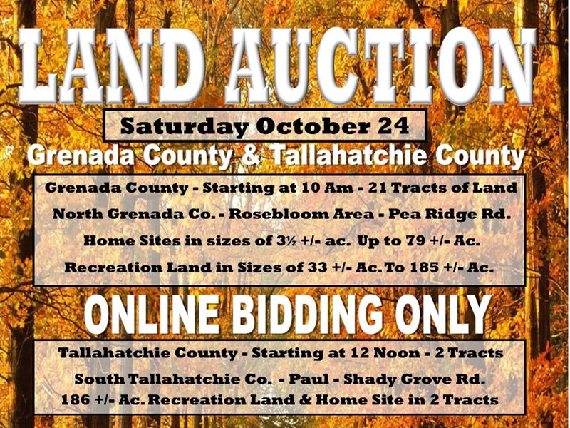 Cabin, Pond, Recreation : Cascilla : Tallahatchie County : Mississippi
