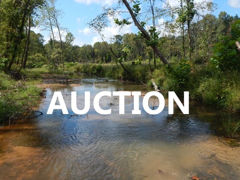 Recreation Land, Home Site : Cascilla : Tallahatchie County : Mississippi