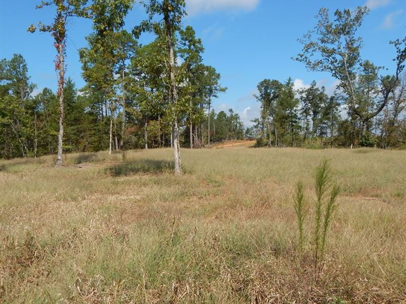 Home Site, Cove Lot : Grenada : Grenada County : Mississippi