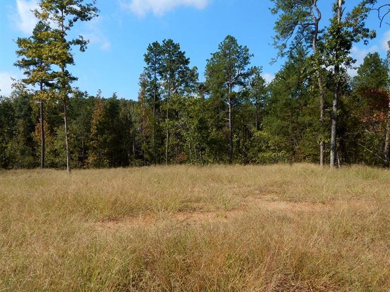 Home Site, Recreation Land : Grenada : Grenada County : Mississippi