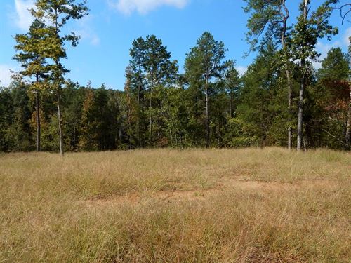 Home Site, Recreation Land : Grenada : Mississippi