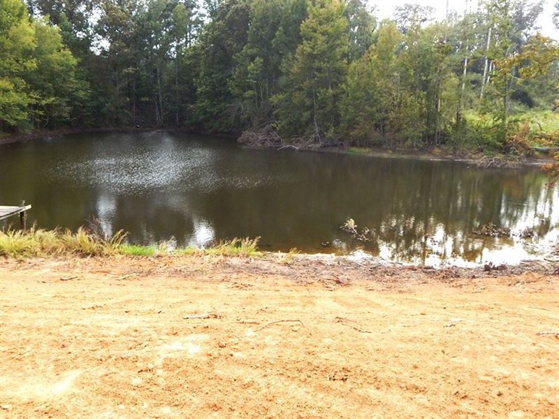 Home Site, Pond, Trees : Grenada : Grenada County : Mississippi