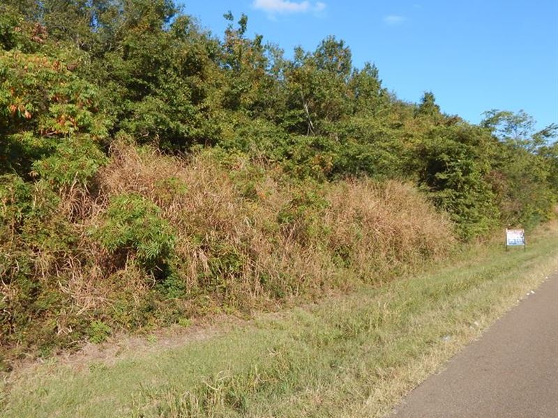 Nice Wooded Lot : Clarksdale : Coahoma County : Mississippi