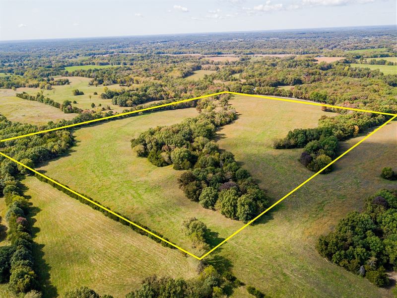 Boone County Home Site, Pasture : Clark : Boone County : Missouri