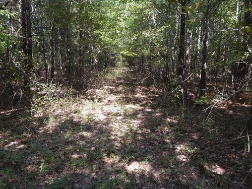 Deer and Ducks : Marks : Quitman County : Mississippi