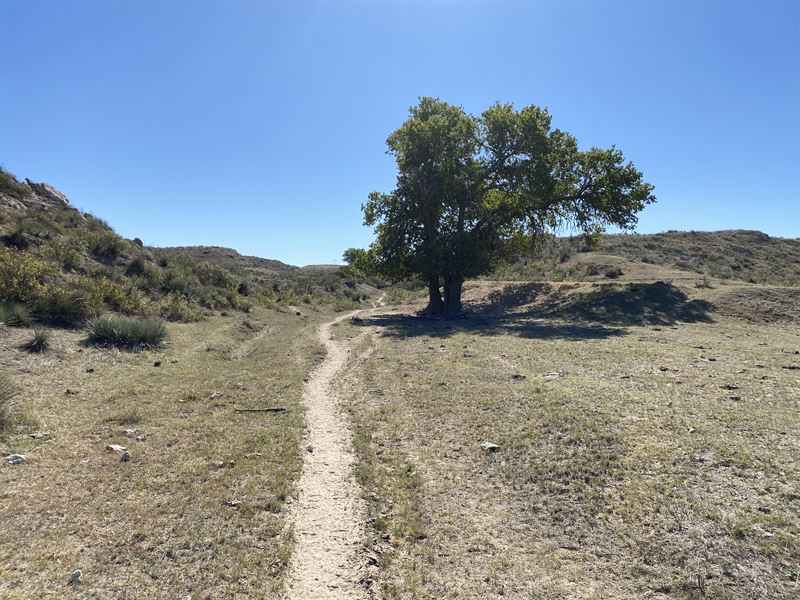 Yuma County Hunting and Grass Land : Idalia : Yuma County : Colorado