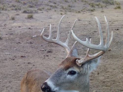 Yuma County Hunting and Grass Land : Idalia : Yuma County : Colorado