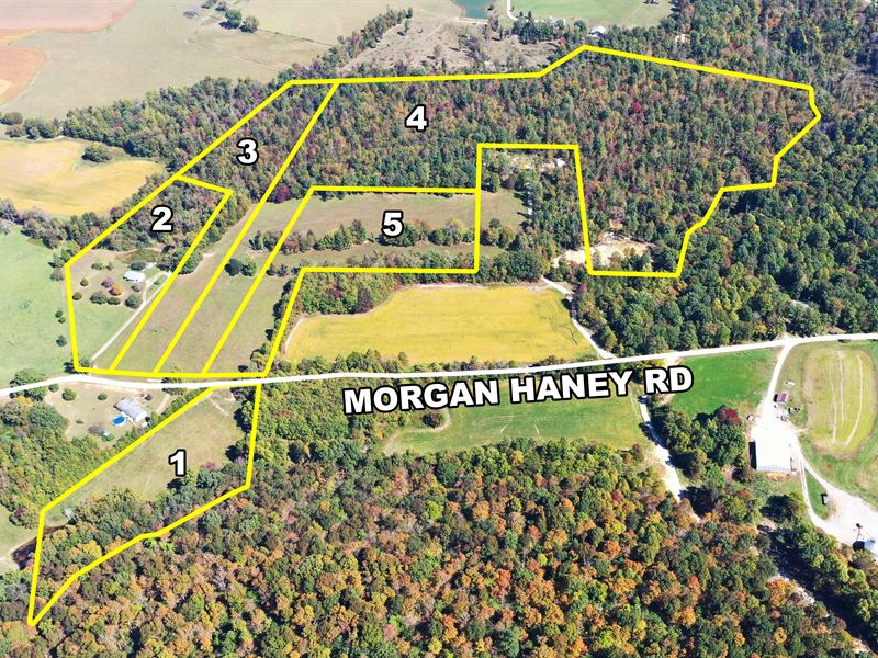 Home & Acreage in 5 Tracts : Cookeville : Putnam County : Tennessee