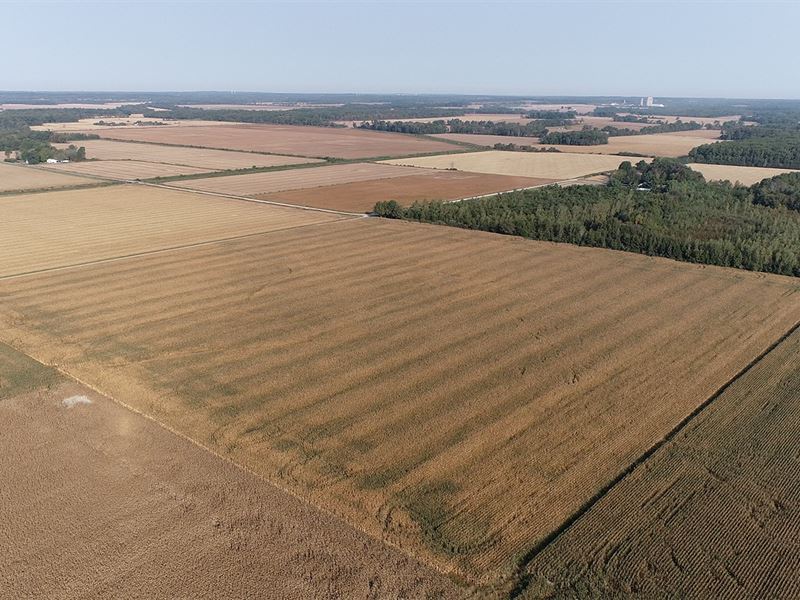 Illinois Real Estate Auction : Enfield : White County : Illinois