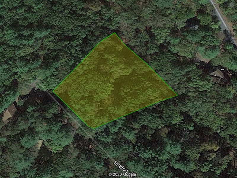 .62 Acre Gem, Build Your Home : Mt Jackson : Shenandoah County : Virginia