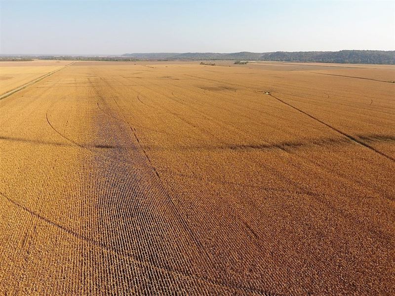367.2 Acres Premium Holt County : Forbes : Holt County : Missouri