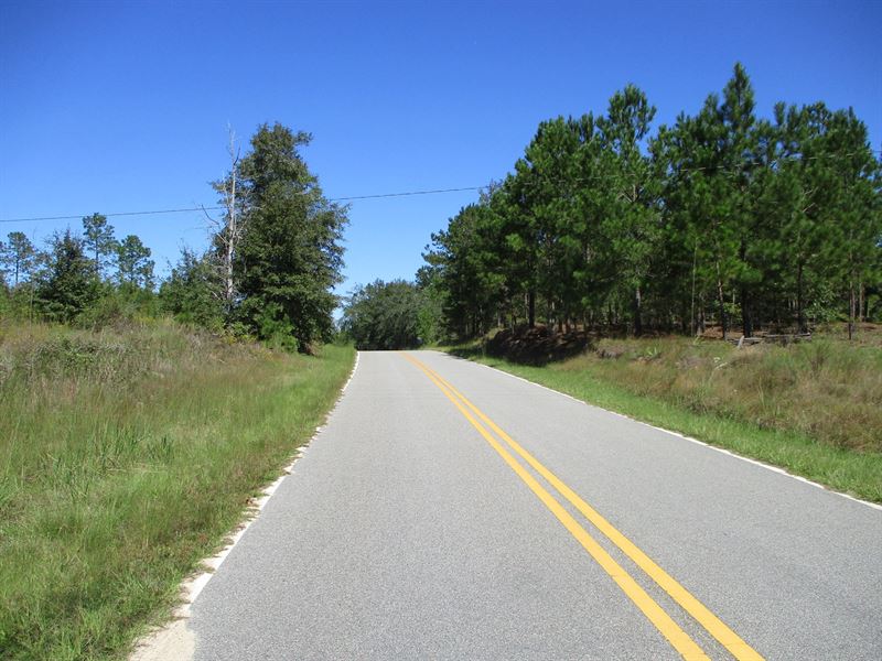 59 Acres in Glenwood, GA : Glenwood : Wheeler County : Georgia