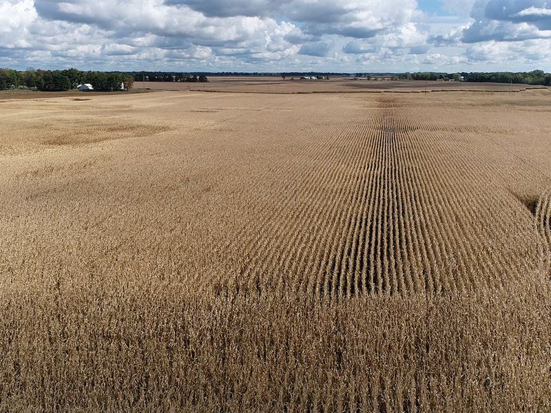 Productive Farmland Auction : Pleasant Lake : Steuben County : Indiana