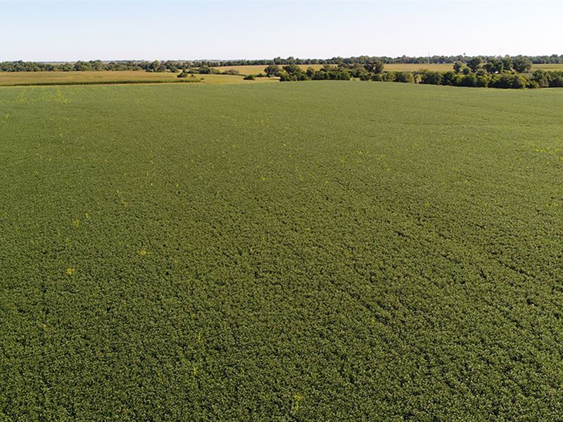 Productive McDonough County Farm : Good Hope : McDonough County : Illinois