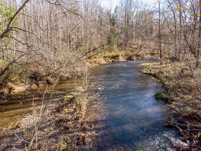 Rockbridge County Sportsman's Dream : Goshen : Rockbridge County : Virginia