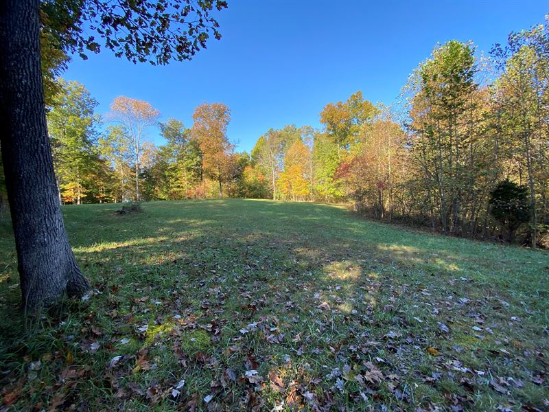 31 Ac Pristine Wooded, Private Home : Elizabethtown : Hardin County : Kentucky