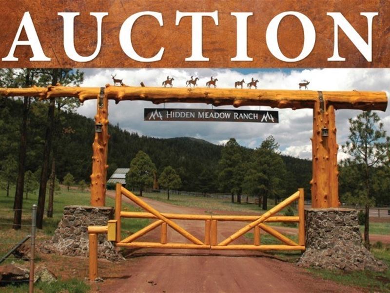 Online Auction, Lot 43, Hidden : Greer : Apache County : Arizona