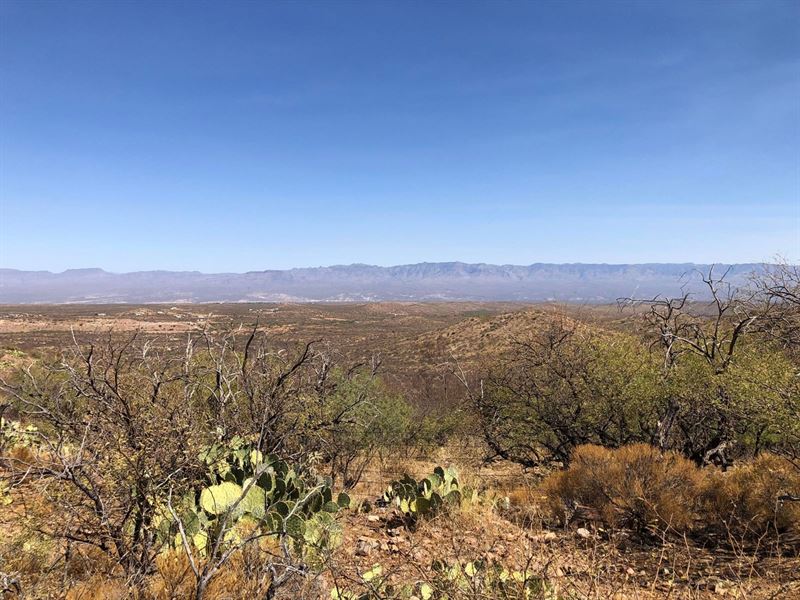 Online Auction, 10 Acres Ranch : San Manuel : Pinal County : Arizona