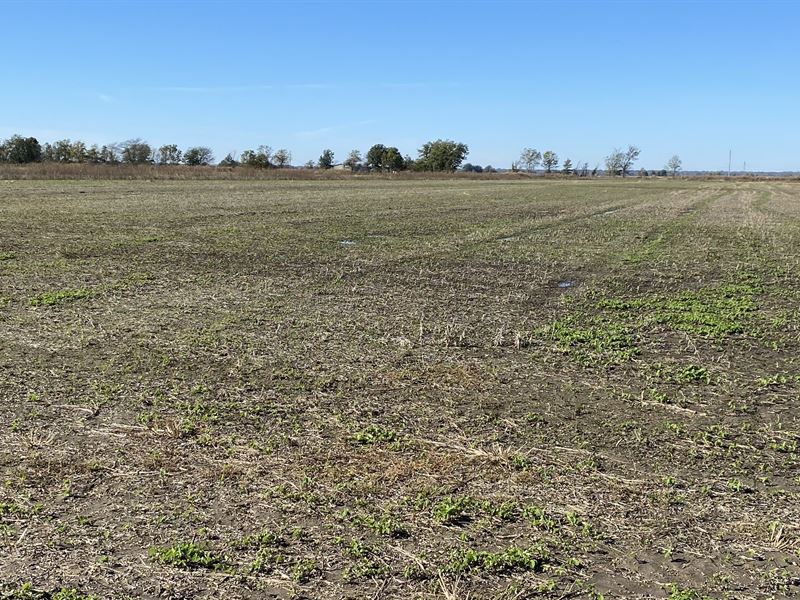Investment Farm Near Big Lake Wma : Gosnell : Mississippi County : Arkansas