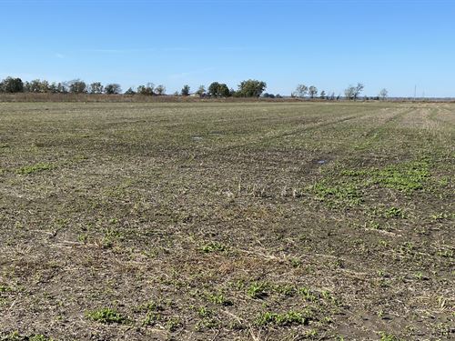 Investment Farm Near Big Lake Wma : Gosnell : Mississippi County : Arkansas