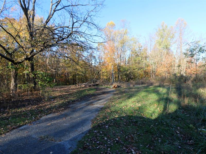 16.8 Mostly Wooded Acres, 3 Tracts : Monterey : Putnam County : Tennessee