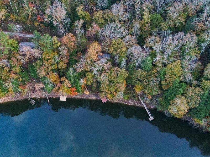 42 Acres Smith Lake Winston County : Arley : Winston County : Alabama