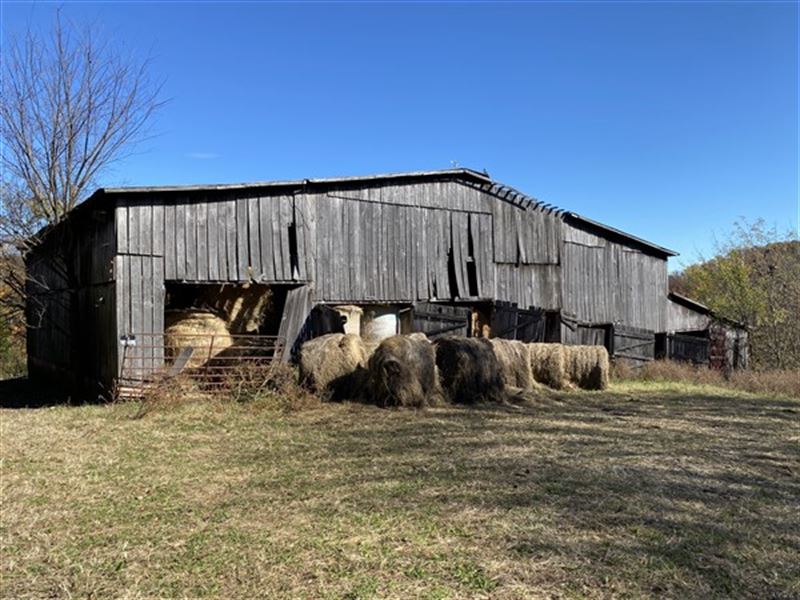 Barbee Road Farm Auction : Jefferson City : Jefferson County : Tennessee