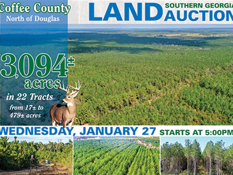 Land Auction in Georgia : Douglas : Coffee County : Georgia
