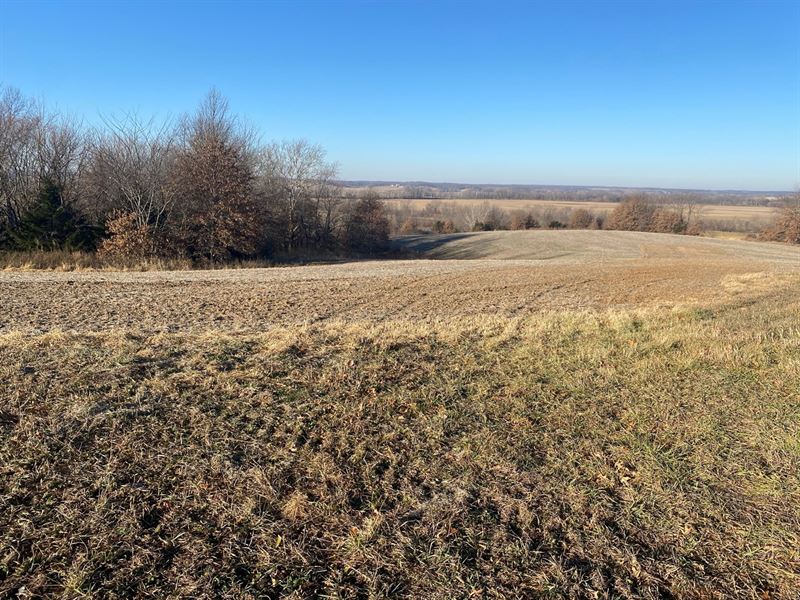 Macon County MO Managed Hunting : Elmer : Macon County : Missouri