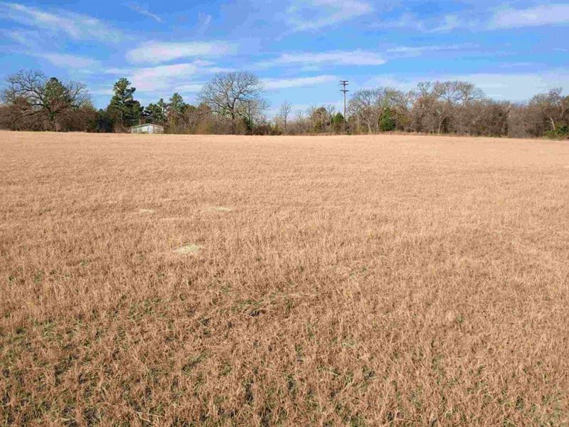 Land Auction Athens Texas Henderson : Athens : Henderson County : Texas