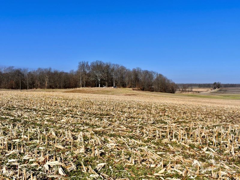 47.65 Acres Tillable Farmland : Chrisney : Spencer County : Indiana